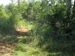 tl26 top of hill after grading