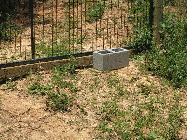 gate to chicken paddock with 4 by 4 post blocking access between ground and gate chicken