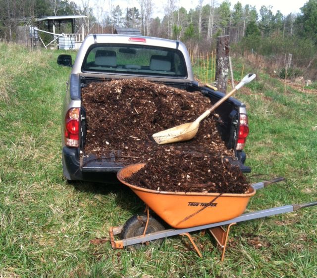 my truck and a large barrow and snow shovel make mulching quick and easy