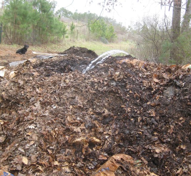 watering the heap with 3/4"diameter 40 foot length pipe connected to 1.25" diameter pipe