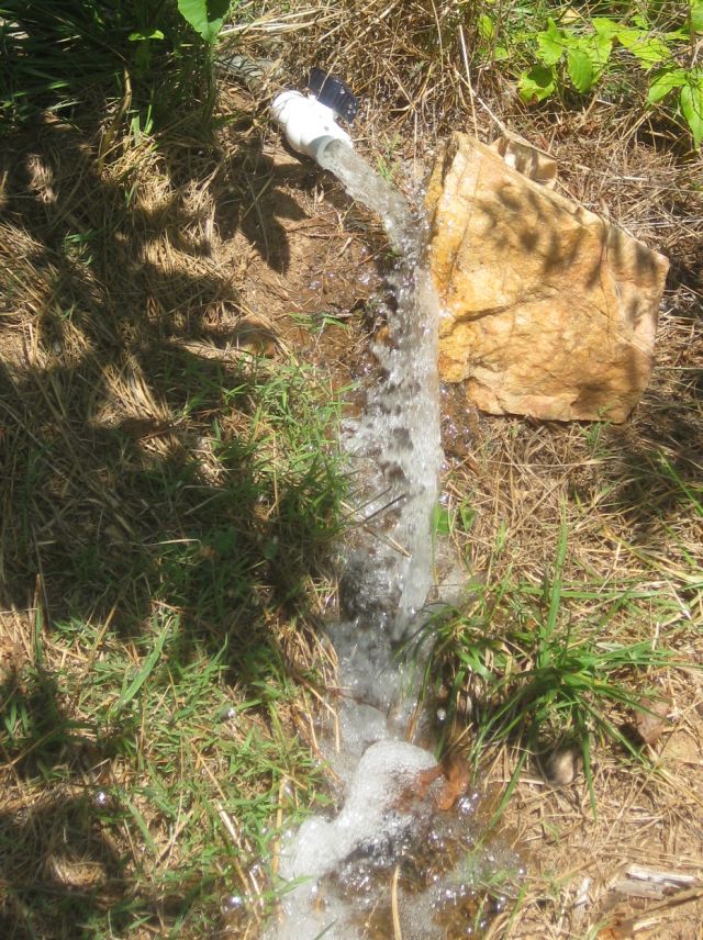water used to flush out bubbles directed by a stone to a quick path to a thirsty apple tree
