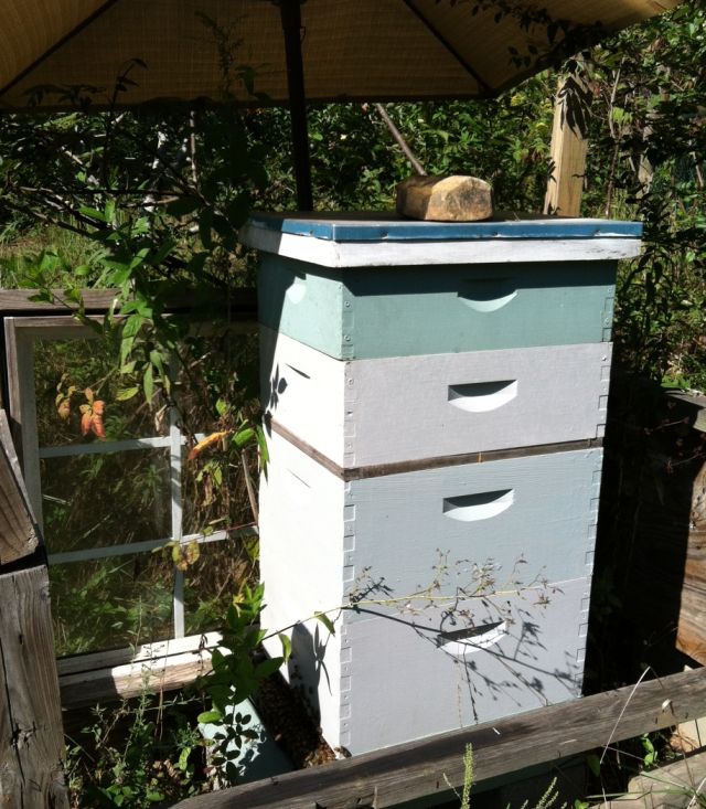 a side view of the hive from the east (access) side