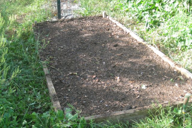 4 rows lettuce, 3 rows radish and 2 rows kale, seeded alternately