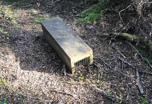 numerous rodent traps are stationed along the trails